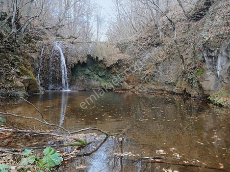 Organize Sanayi Bölgesine 9km Mesafe Kozluca'da Satılık Tarla