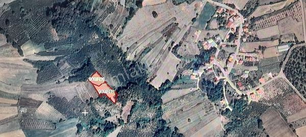 Kocaeli Kandıra Yusufça Köyünde Satılık Tarla