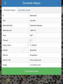 Ayvalık Mutluköy'de Resmi Yola Cephe Manzaralı Zeytinlik