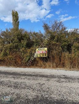 Akman Gayrimenkul'den Osmancalıda Satılık Tek Tapu 1250 M2 Arazi