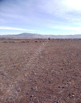 Yg/ Turanda Satılık 6800 M2 Tarla