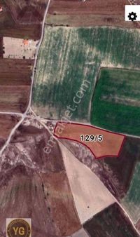 Turan Da Satılık Tarla