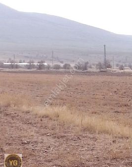 Subaşı Koyünde Tarla