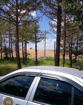 Sarımsaklı Da Satılık Tarla ✅📞