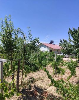 Yg/ Subaşı Mahallesınde Satılık Ev Ve Tarla