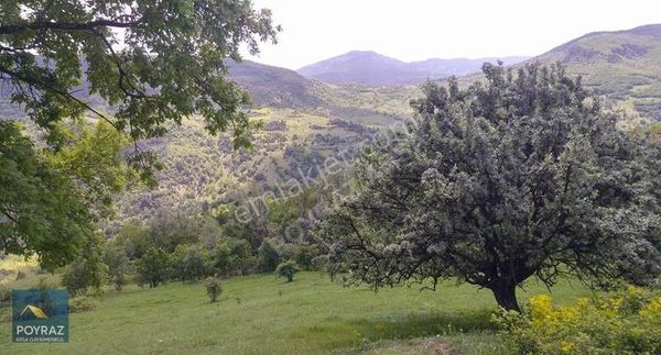 Poyraz'dan Karabük Merkez Salmanlar'da Kelepir Müstakil Tarla