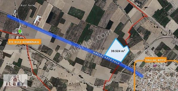 İlbey // Şuhut Hacı Musa Mh. Alan Mevkiinde 39.524 M² Tarla