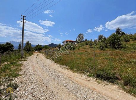 Yayla Patlangıçta Yola Yakın 2214m2 Tarla