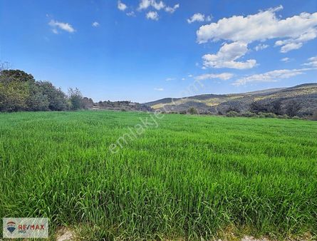 Remax Mid'den Bereketli Mahallesi'nde Yola Cepheli Satılık Tarla