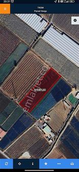 Ali Hocalı Mahallesi Satılık Tarla 13.855 M2 Elektrik Su Var