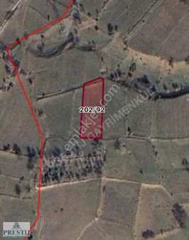 Afyon Prestij Gayrimenkulden Sultandağı Yakasenek Satılık Arsa