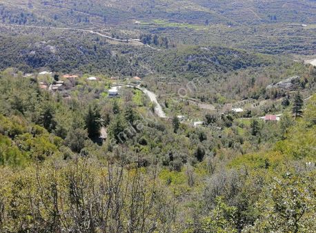 Alanya Gözübüyük Yayla Havası Gibi Yerleşim İçi Tarla