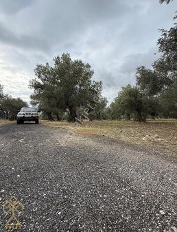 Yeni Devlet Hastanesine 1,5 Km Değer Artışı Kaçınılmaz!