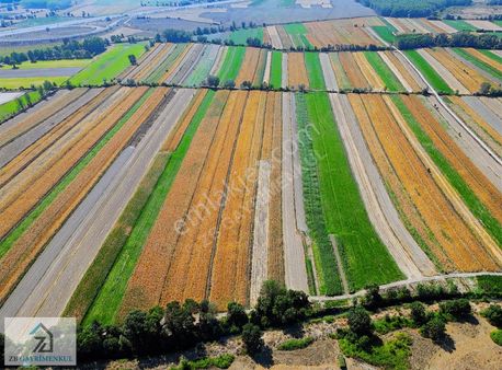 Akyazı Çatalköprü Mahallesi 8345 M2 Satılık Tarla