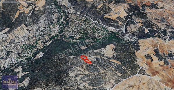 Aydın Karacasu Da Satılık 2 Adet Arazi