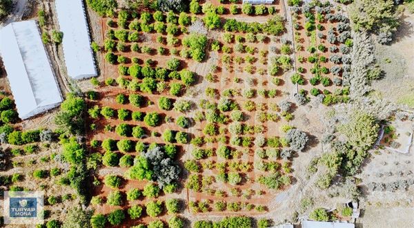 Antalya Duralilerde Kiralık Tarla