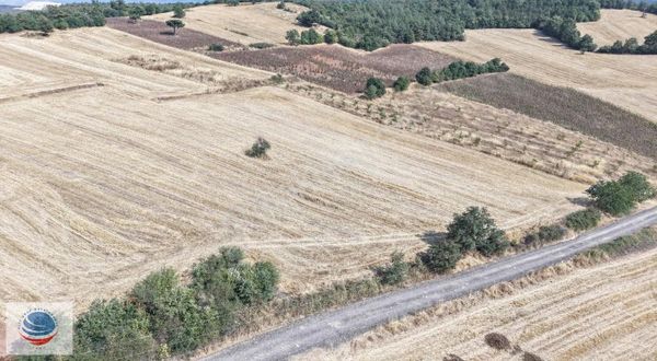 Bursa Yenişehir Günece Mah.2645 M2 Satılık Tarla