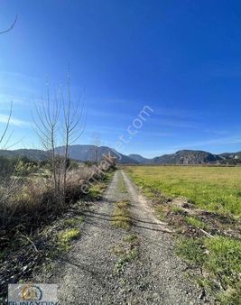 Ortaca Güzelyurt Mah 8 Dönüm Nar Bahçemiz Satılıktır.