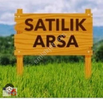 Çınara Yakın Apartlık Satılık Arsa