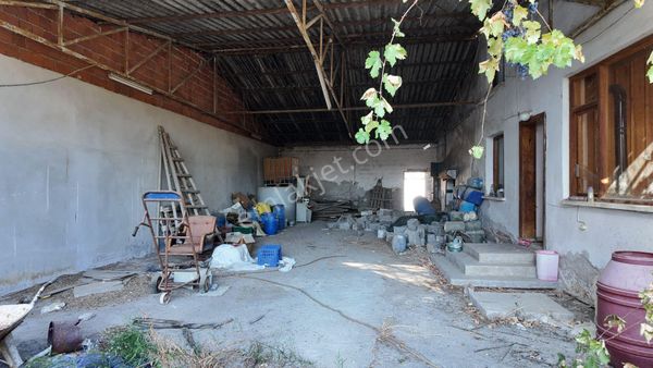 Satılık Zeytinyağı İmalathanesi