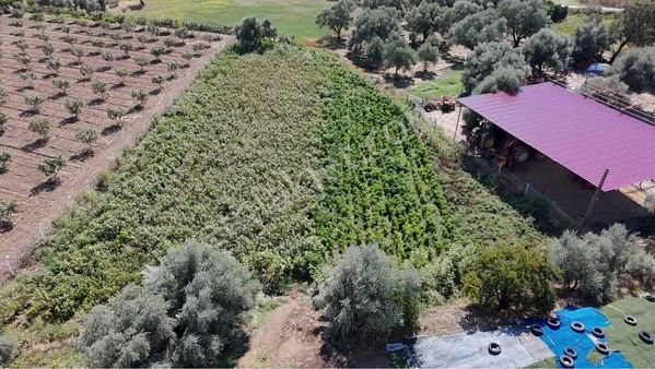 Aydın / Nazilli – Arslanlı Bölgesinde Kaçırılmaz Fırsat!