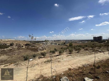 Kabasakal Tokide Sıfır 3+1 Kapalı Mutfak Yayla Gibi Açk Cphe