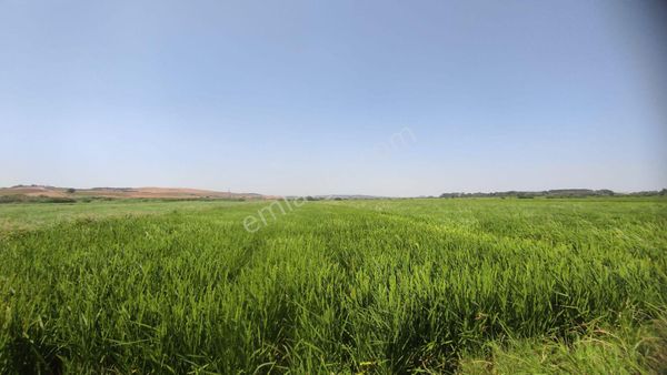 Edirne Uzunköprü Kiremitçisalih'te Satılık Çeltik Tarlası