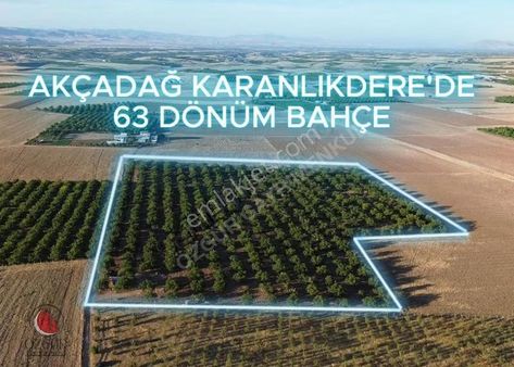 Özgürden,karanlıkdere De Harika Bahçe