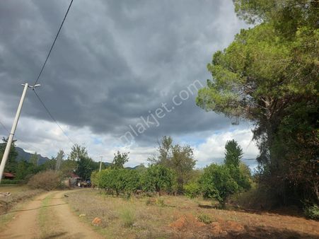 Muğla Köyceğiz Pınar Köyde Muhteşem Manzaralı 2 Ayrı Parsel Satılık