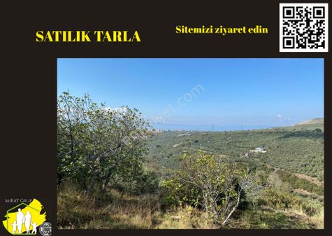 Miray Gayrimenkulden Erdek-alaattin-mah-dikenlitepe Satılık Tarla 5.733m²