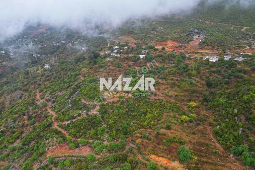 Alanya Yenice'de 4.713 M² Satılık Deniz Manzaralı Tarla