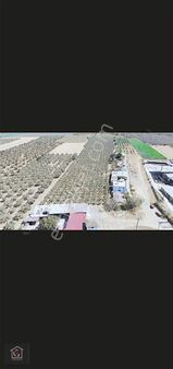 Çapak'ta Hisseli 210 M2 Fırsat Zeytinlik Merkeze 3 Dakika