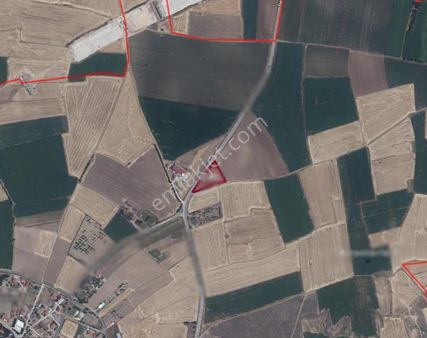 Uşak Emlak Ofisinden Hocalar Köyünde 4554 M2 İçinde Evi Olan Satılık Tarla