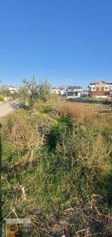 Dikili İsmetpaşa Danıştay Mevkinde Denize 500mtre 15-30 İkiz İmarlı 2 Villalık Arsa Satılık