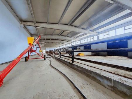 Tam Otomatik Akıllı Sıstem Besıhane Çıftlık