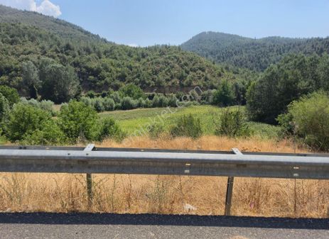 Realty World'dan Taraklı Yusufbey'de 3360m2 D150ye Cephe Ayçiçek Bahçesi