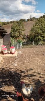 Dıalog Megadan Konutimarlı Sakarya Günhoşlar 1208m2 Satılık Arsa