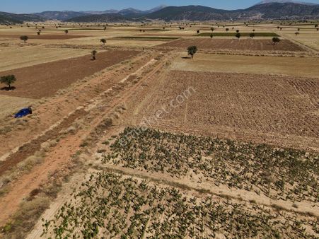 Tavas Horasanlı Fı