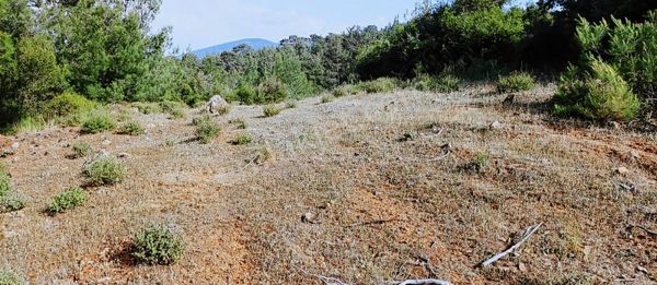 9 Dönüm Tarla 520 Bin