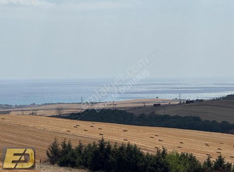 Ed Arsadan Denize Köye Ulaşıma Yakın Prefabriğe Uygun Arsa