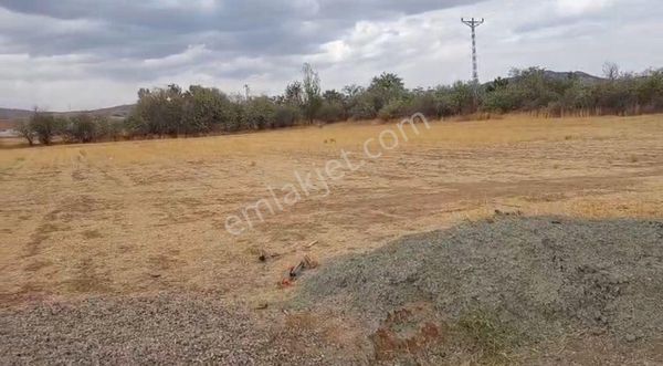 Elmadağ Karacahasanda Tek Tapu Tarla 10.000m2