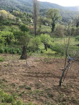 Alya Emlaktan Satılık Bahçe Gacık