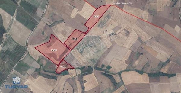 Çanakkale Biga Gümüşçay 133.409 M2 Satılık Fırsat Tarlalar