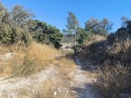 Ays Den Satılık Tarla