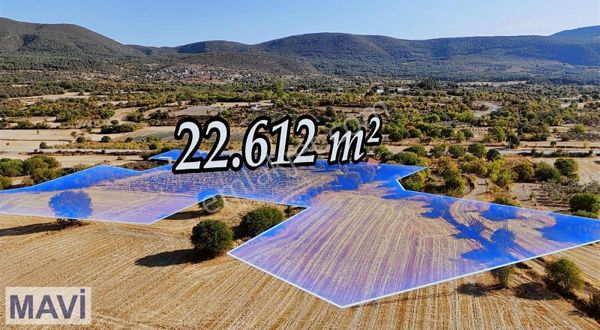 Re/max Mavi'den Gölpazarı Karaağaç Mahallesinde Yola Cephe Arazi