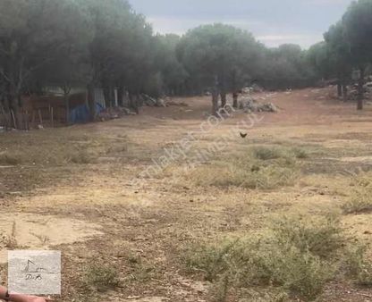 Oksijen Deposu Kozak' In Zirvesi Tekke' De Çiftlik Arazisi