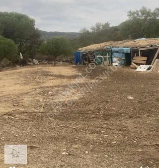 Kozak Yaylasın Da Kelepir Tarla