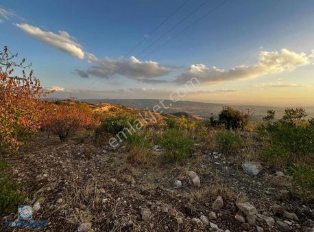 Binevler Turyaptan Kozludere'de Yol Kenarı Şehir Manzaralı Bağ