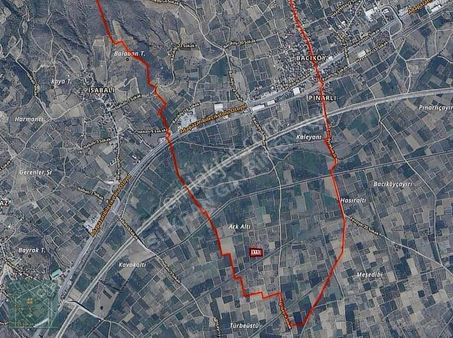 Şükran Gayrimenkul'den Pamukovada 5,5 Dönüm Satılık Tarla