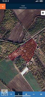 Yazıhan Tecirlide Satılık Kayısı Bahçesi